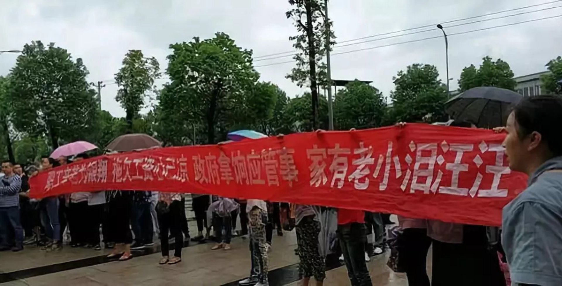 如何选择适合你的丹东软件开发服务？